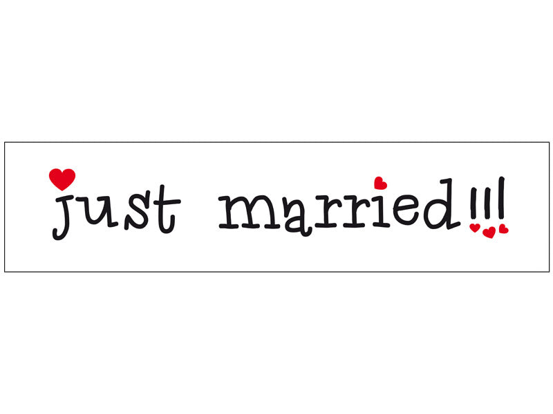 Autoschild "Just Married"