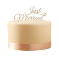 Tortenaufsatz "Just Married" Silber Glitzer.
