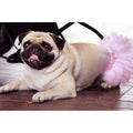 Tüllrock für den Hund rosa